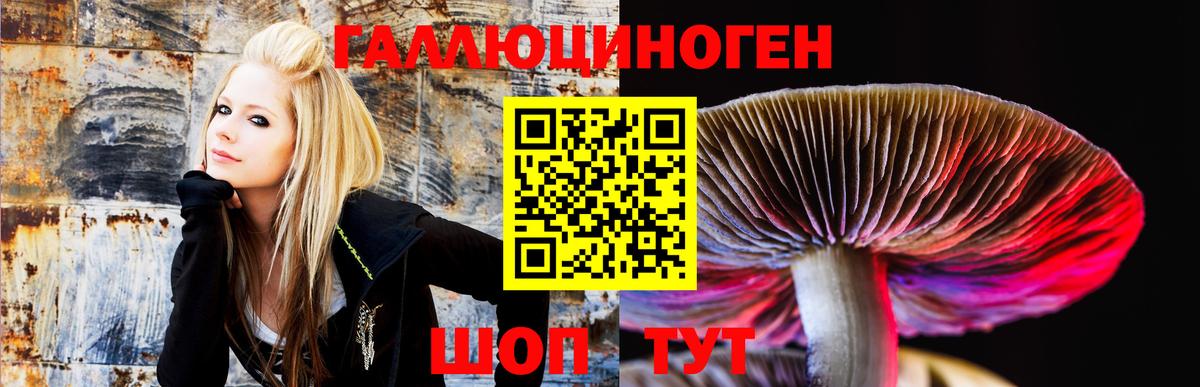 Кулебаки  Псилоцибиновые грибы Psilocybine cubensis  Псилоцибиновые грибы Psilocybine cubensis  купить наркотики сайты  Вход с VPN 