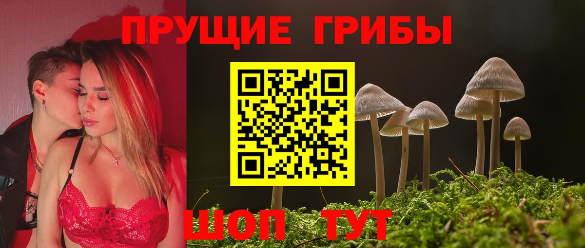 Галлюциногенные грибы MAGIC MUSHROOMS Кулебаки